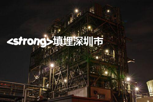 <strong>填埋深圳市危險(xiǎn)廢物處理站有限公司化工設(shè)施安全解體：如何高效處理復(fù)雜工業(yè)遺留問題？</strong>